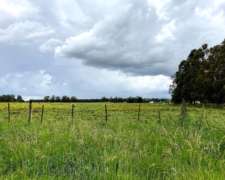 Campito de 3,2ha en Alquiler