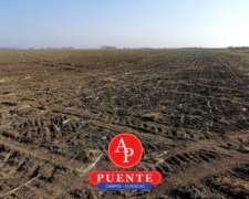 En Venta 100 Has. General Pico, la Pampa