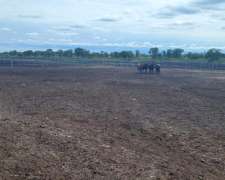 Se Vende Campo en Cruz del Eje 4700 Hectáreas 375 Hs Limpias