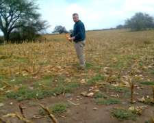 Busco Campo Agricola en Córdoba