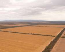 Pcia. de Salta - el Quebrachal 645 Has