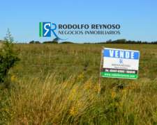 2400 M2 Sobre Autovía 14, Colón