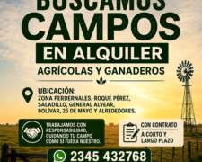 Buscamos Campos en Alquiler