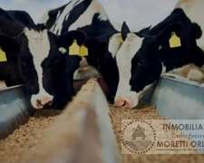 Tambo. Todas las Mejoras. 124 HA. Venta a Tranquera Cerrada