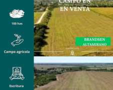 Campo en Brandsen 100 Has