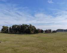 110 Has. Campo Ganadero En Mercedes