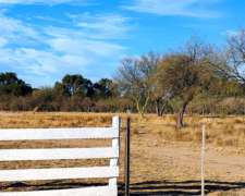 Campo en la Rioja Sobre Ruta 79 San Martín