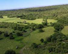 Córdoba Valle de Calamuchita San Ignacio 500 Has Ganaderas