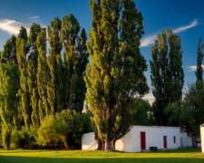 Venta Campo 7500 Has -zona Arroyo la Ventana - Rio Negro