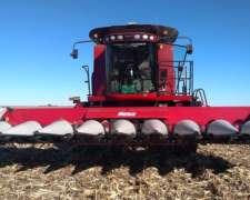 Maicero - Maizco - año 2020 - de 10 a 70 - EMB CNH