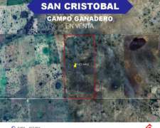 Campo 143 Has. Ganadero, San Cristobal