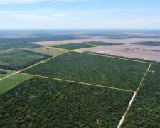 219 Has en Venta - Pcia del Chaco, Pampa del Infierno