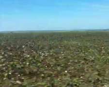 Vendo 886 Hectáreas Agricolas