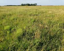 130 Hectáreas Agrícolas, Almada Gualeguaychú.