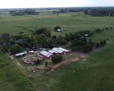 Haras en Pcia de Buenos Aires