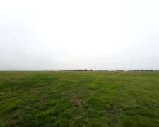 Campo 54ha - Providencia
