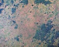 Campo la Banda SGO del Estero