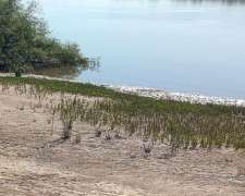 Campo Turistico- Ganadero Costa del Rio Uruguay.