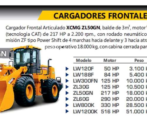 Pala Cargadora Xcmg 3m ZL 50 G