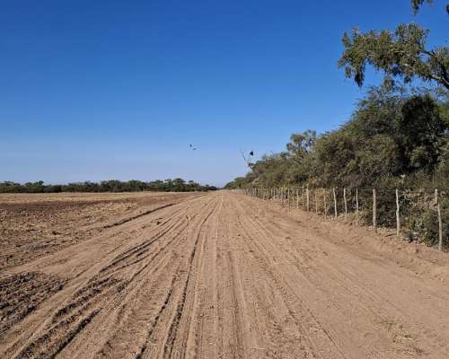 Vendo Campo Mixto en el Bobadal.