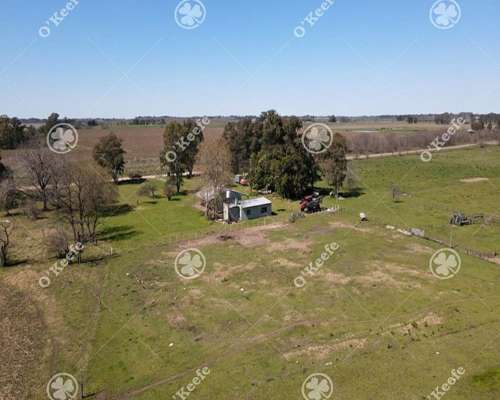 Chacra en Venta de 15 Has en Gral. Belgrano. Agricola