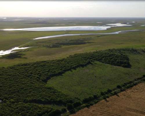 Campo Ganadero 1500 Hectáreas