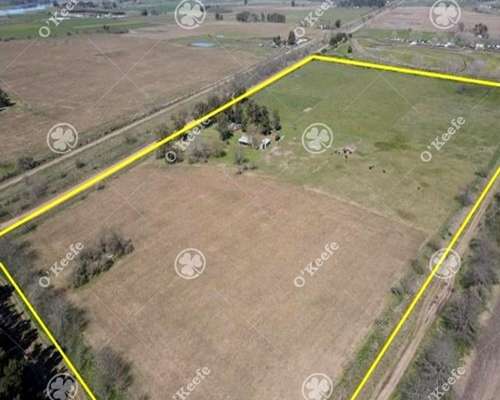 Chacra en Venta de 15 Has en Gral. Belgrano. Agricola