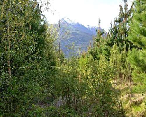 Campo en Epuyén, Patagonia Argentina