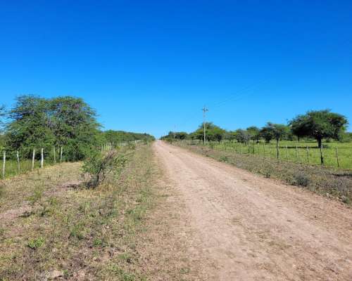 Venta 2.050 Has. en Mercedes - Corrientes