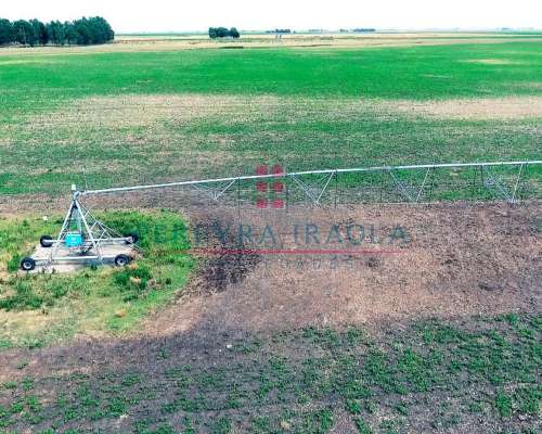 Excelente Campo Mixto en Venta. Juan N Fernandez - Necochea