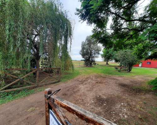 Hermoso Campo de 5,6ha en la Violeta (partido de Pergamino)