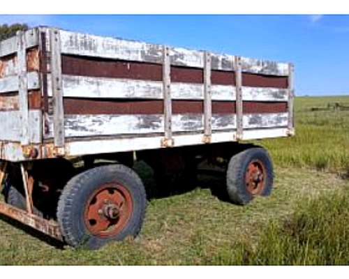 Acoplado Playo 2 Ejes Vuelta Entera sin Marca Usado.