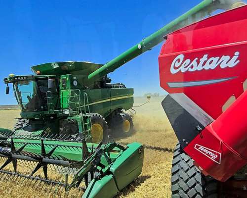 Busco Trabajo de Tractorista/senbrador/carrero