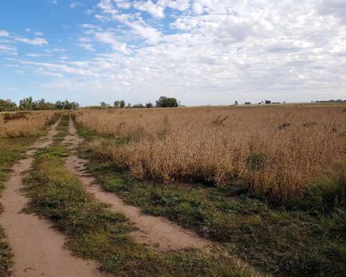 Exelente Campo Ganadero en Germania