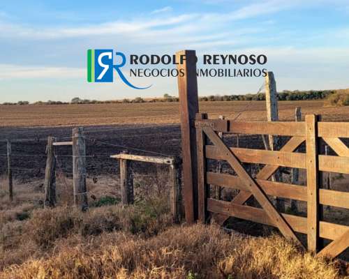 100 Ha en Concepción del Uruguay