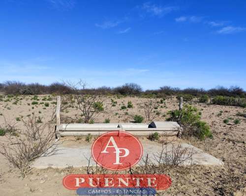 En Venta 6000 HA. Chacharramendi, L.P