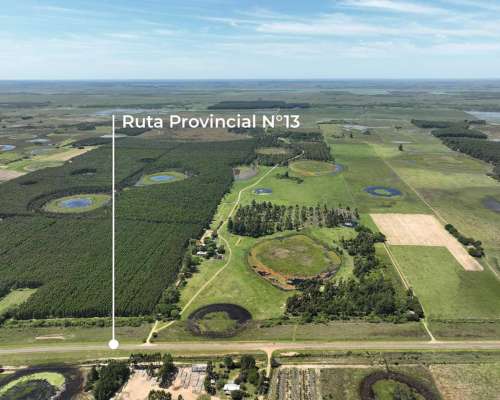 Pcia. de Corrientes - Pago de los Deseos 254 Has