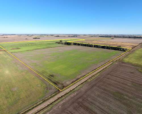 67ha Pergamino Buenos Aires