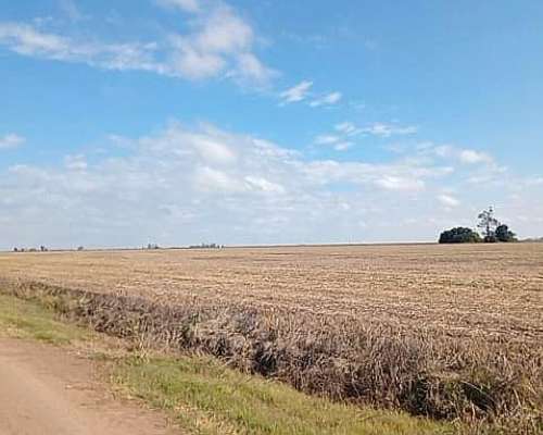 Campo en Zona Núcleo Santa FE