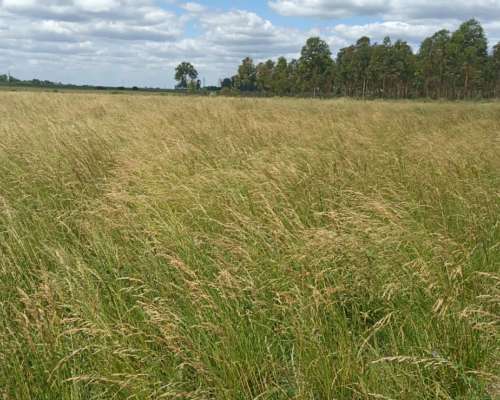 San Salvador, 721 Ha Agricolas Recrea e Invernada