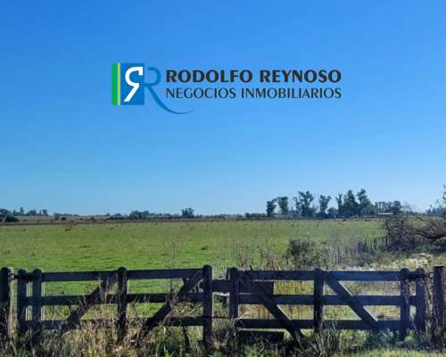 Campo en Villa Elisa - Entre Rios