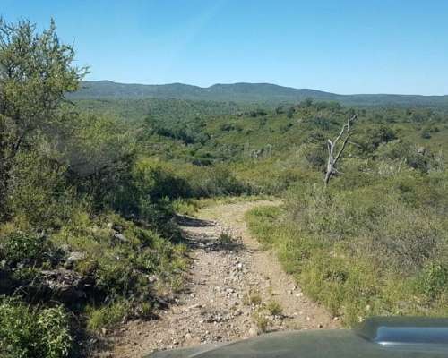 Campo de 453 Hectáreas en Villa de Soto, Córdoba.