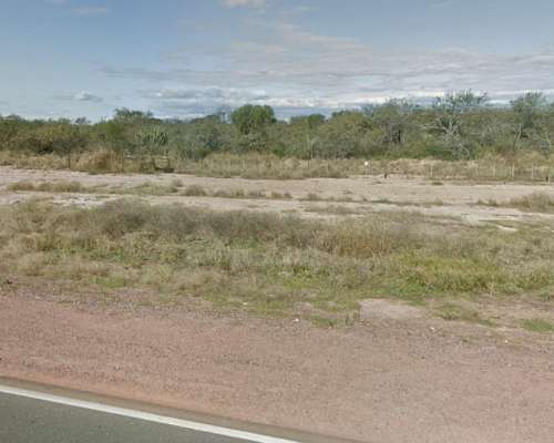 Campo de 2000 Has Sobre Ruta 5 – Caspi Corral SGO del Estero