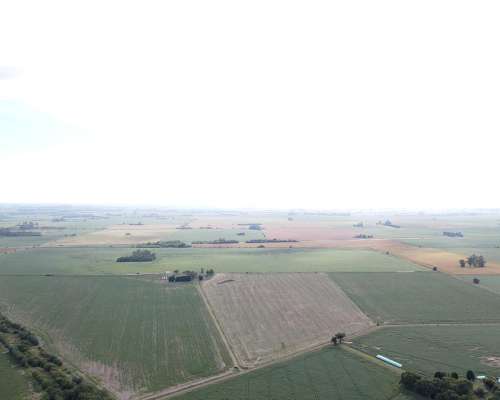 Campo Arrecifes Zona Nucleo 100% Agricola