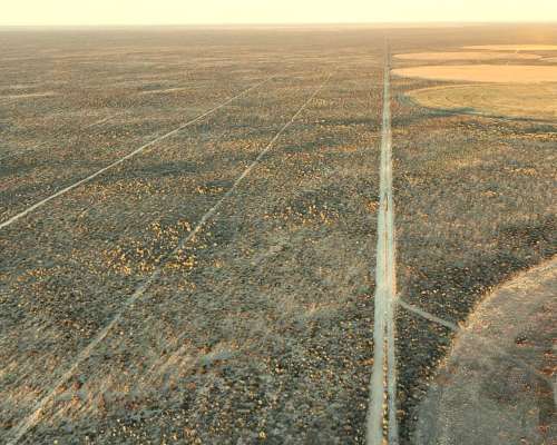 Lamarque, Avellandera, Río Negro - 16.387 Ha
