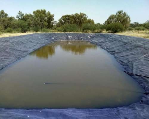 Casnem Inmobiliaria Vende Campo de 9630 HS. con Escritura