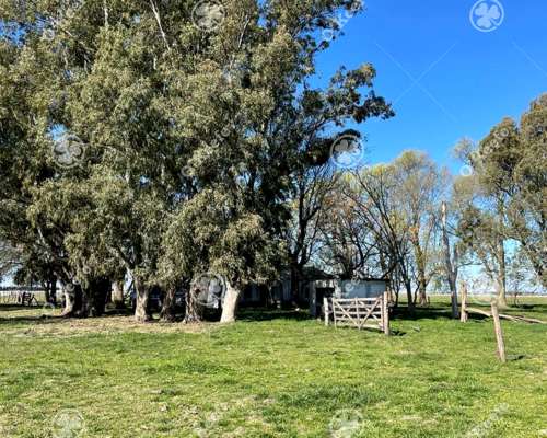 Campo en Venta de 1150 Has en Formosa. Cerca de Ruta Nac. 11