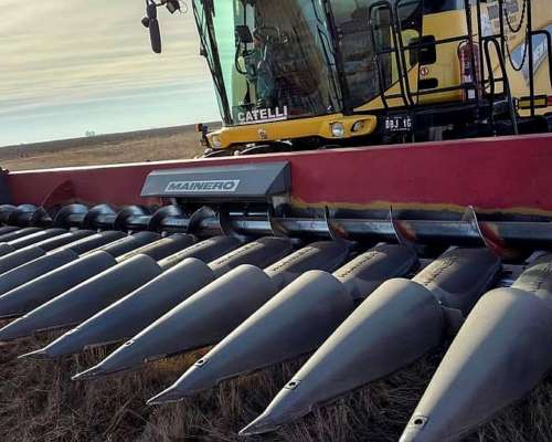 Cabezal Maicero Mainero de 16 Surcos a 52 cm