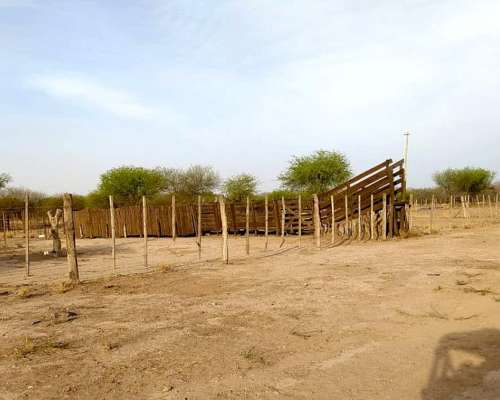 250 HA. Campo en Catamarca con Olivos
