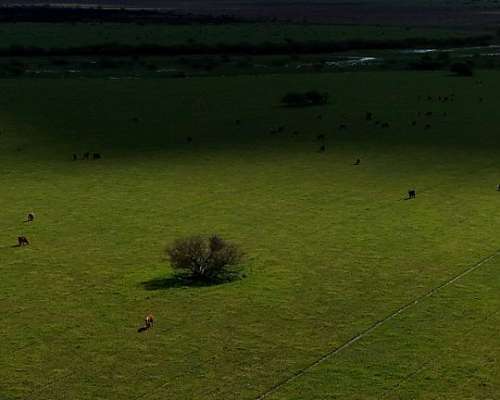 Vendo Campo 390 Hectáreas Entre Chajarí y Federacion